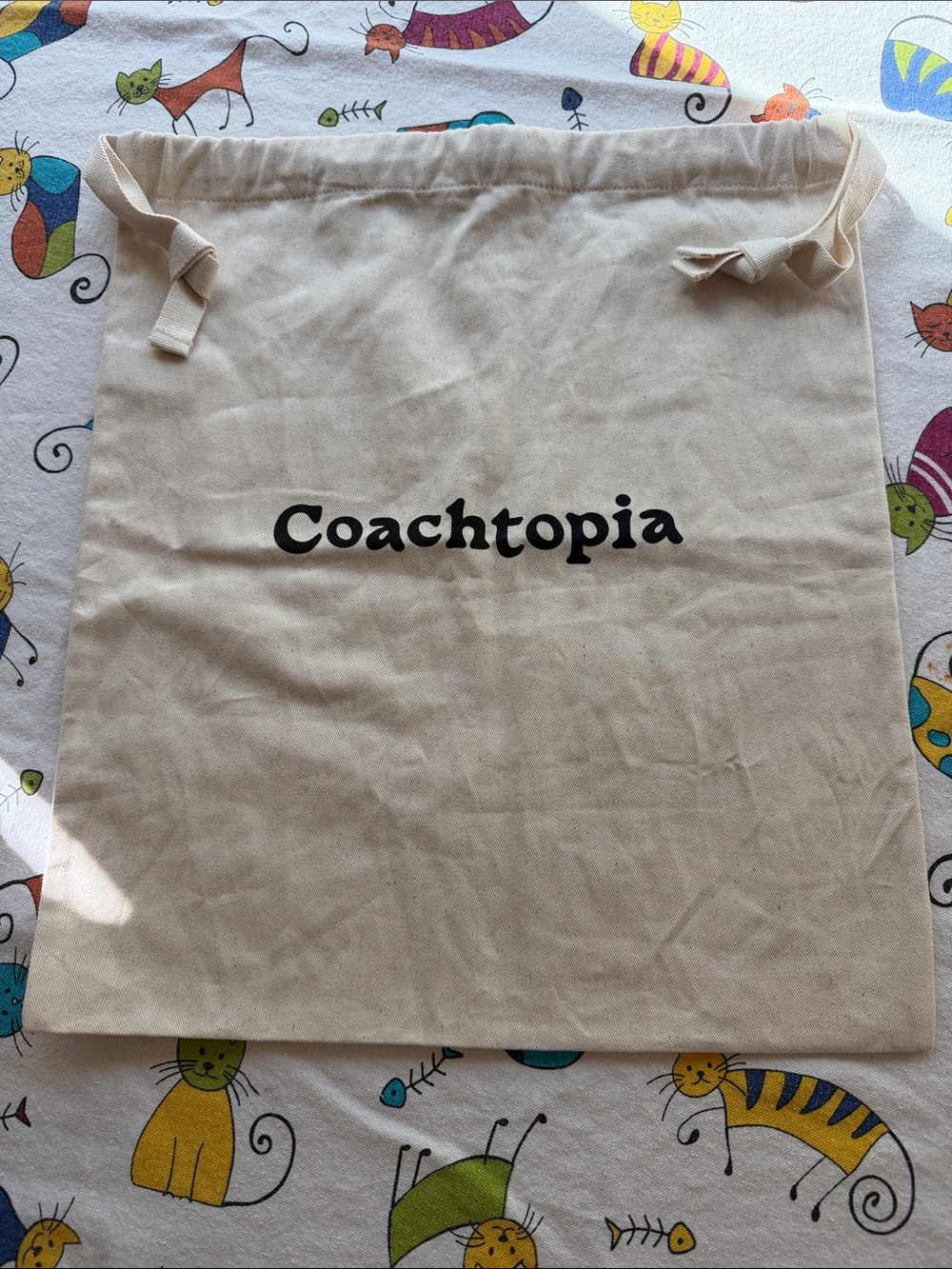 🌷 Coachtopia Canvas Dust Bag🌷 NWOT 🌷